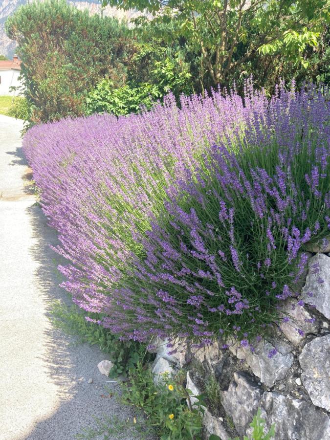 Ferienhaus Auszeit Natur Villach Zewnętrze zdjęcie