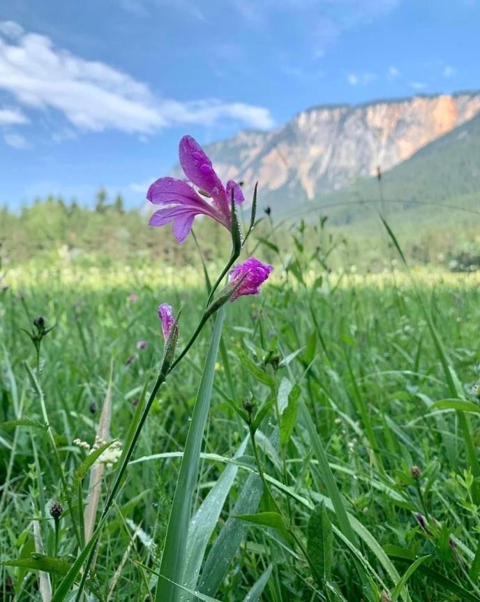 Ferienhaus Auszeit Natur Villach Zewnętrze zdjęcie